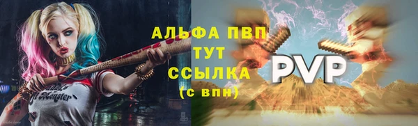 соль ск Пересвет