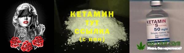 соль ск Пересвет
