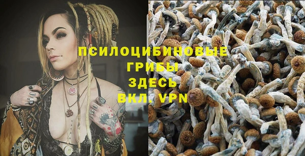 герыч Пестово