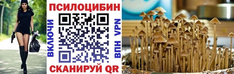 где продают наркотики Борисоглебск Псилоцибиновые грибы GOLDEN TEACHER