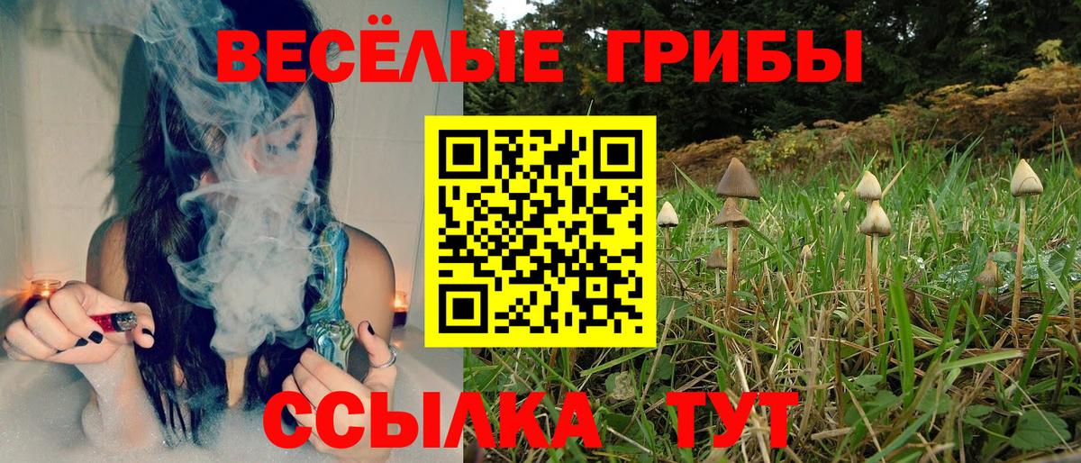 Псилоцибиновые грибы мухоморы  Борисоглебск 