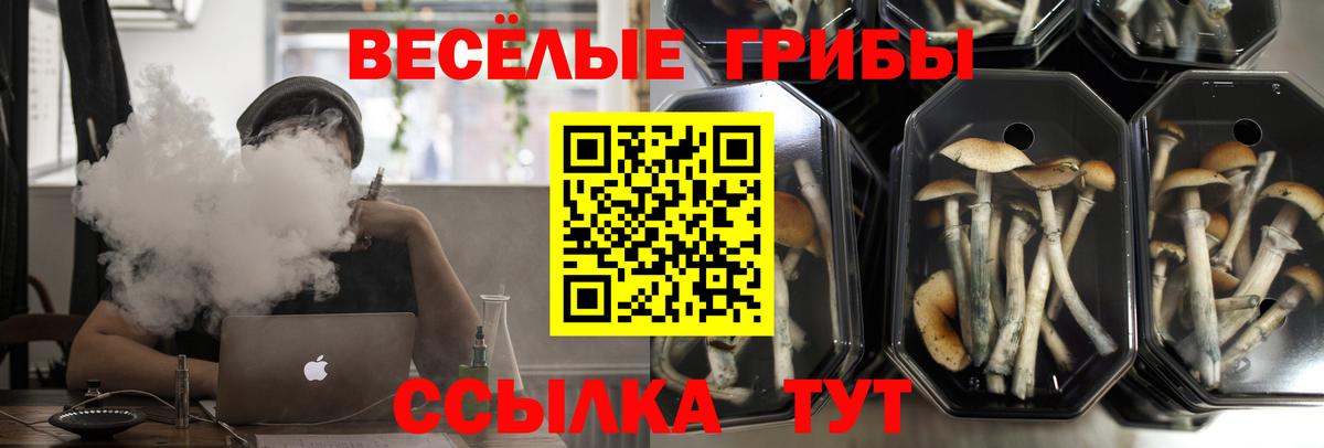 Псилоцибиновые грибы Cubensis  Псилоцибиновые грибы ЛСД  Вход с VPN  Борисоглебск 
